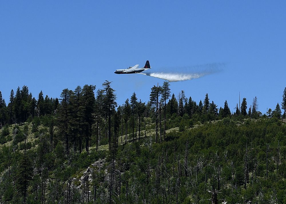 Airplane drops water over vegetation.