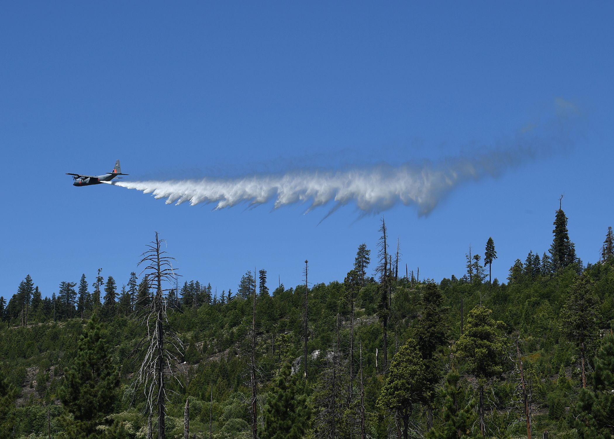 Large aircraft drops water over a green forest.