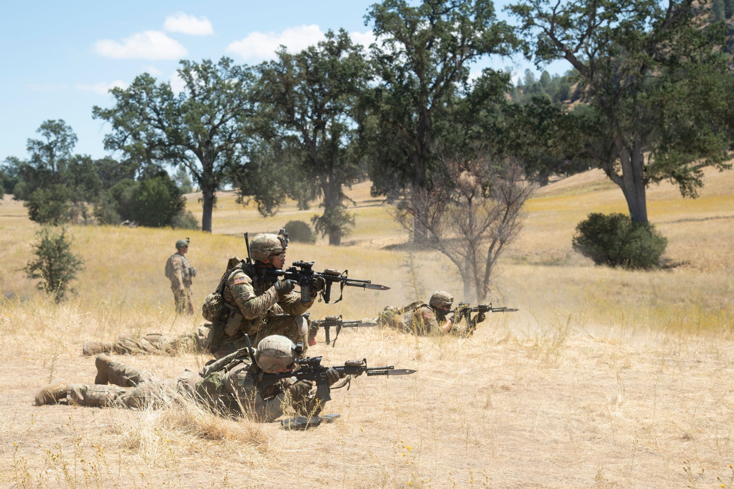Soldiers shoot rifles in a field during live fire training