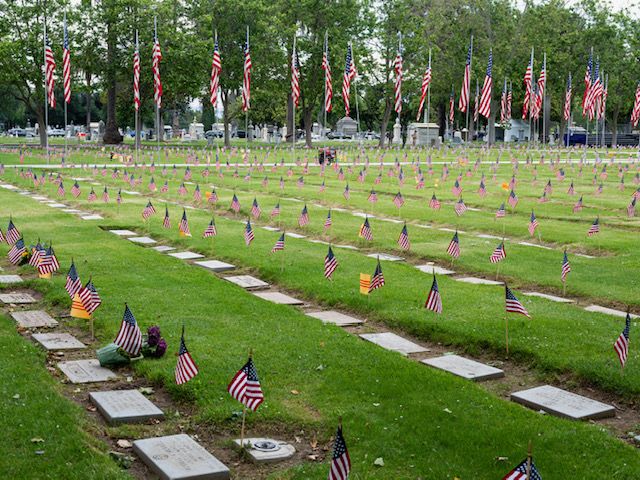 Hundreds of small American flags fly in the green grass next to gravestones at the cemetery at Oakhill Memorial Park.