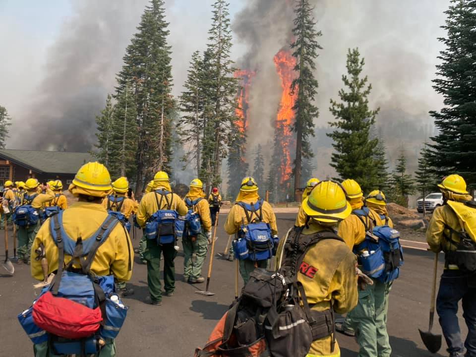 Tree in flames as handcrew watches.