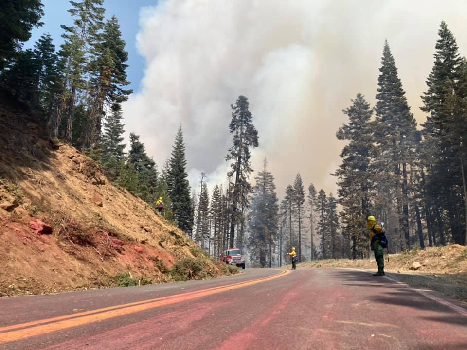 Firefighters stand along road in forest.