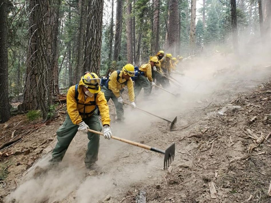 Firefighters rake a containment line.