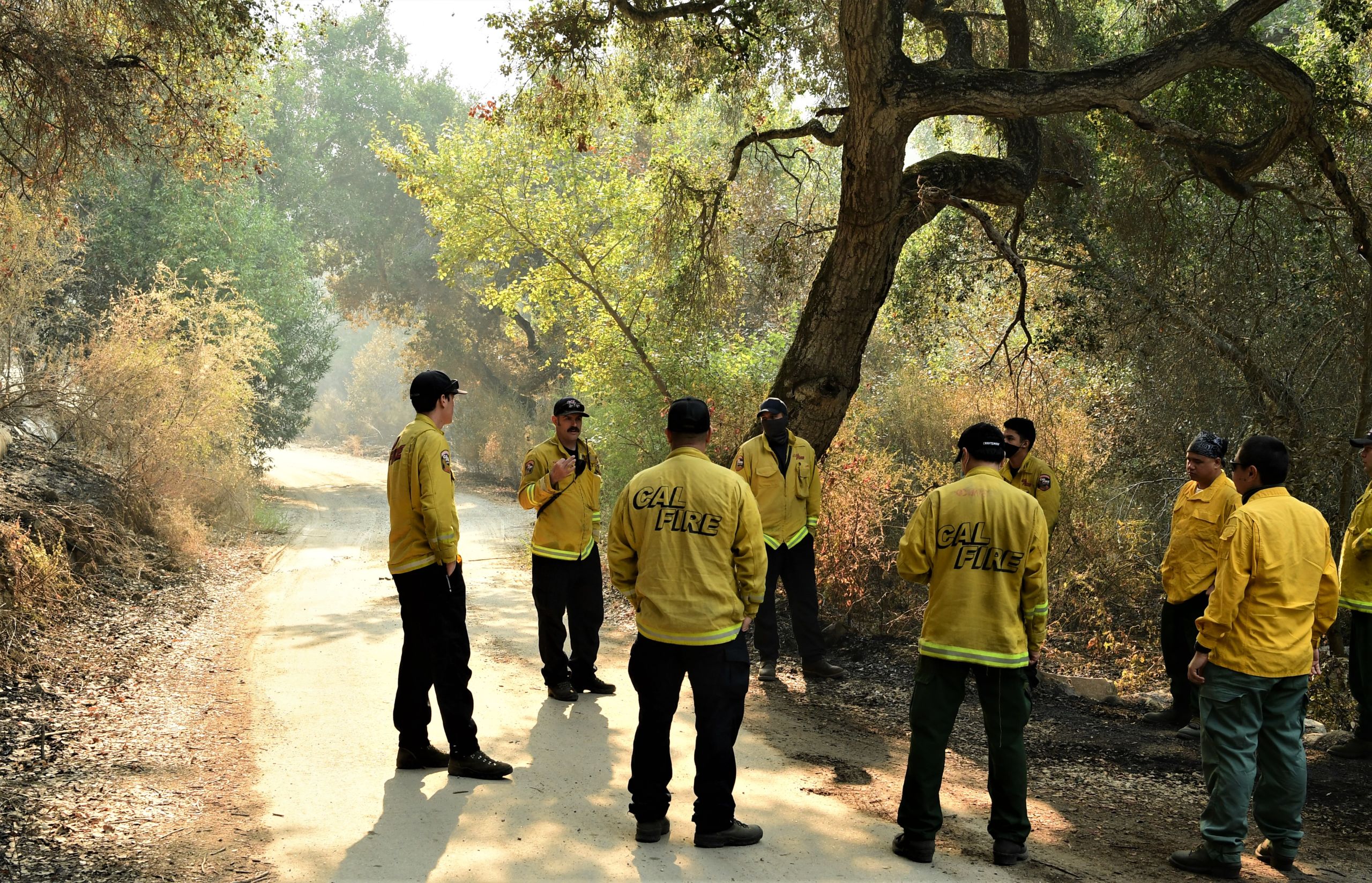 Cal Guardsmen in the woods discuss safety considerations on the Carmel Fire hand line.