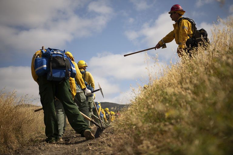 Crew of service members clear brush