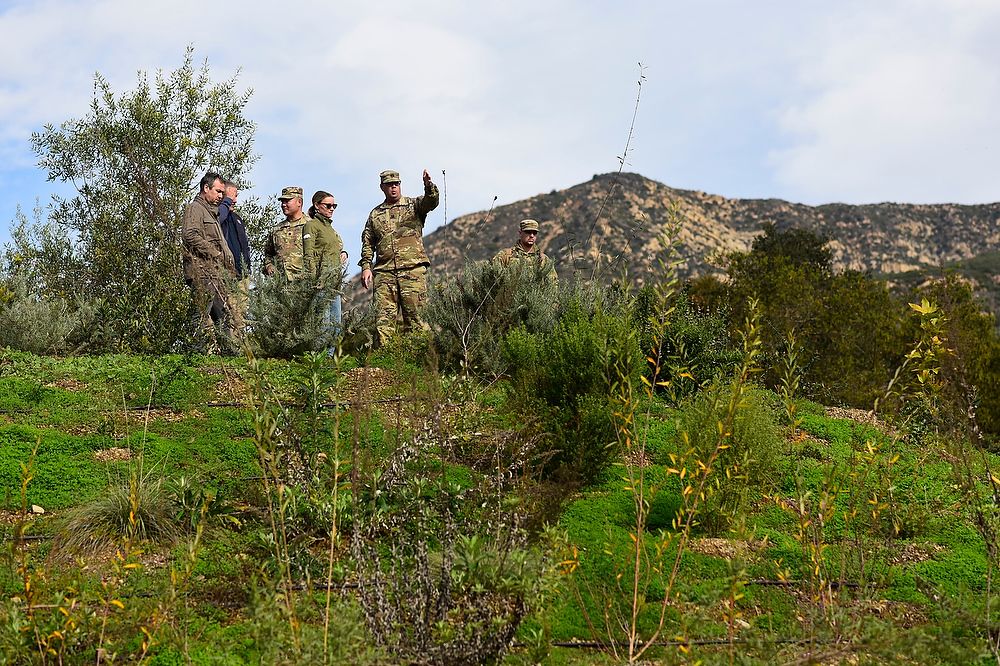 People talk and gesture on a hill.