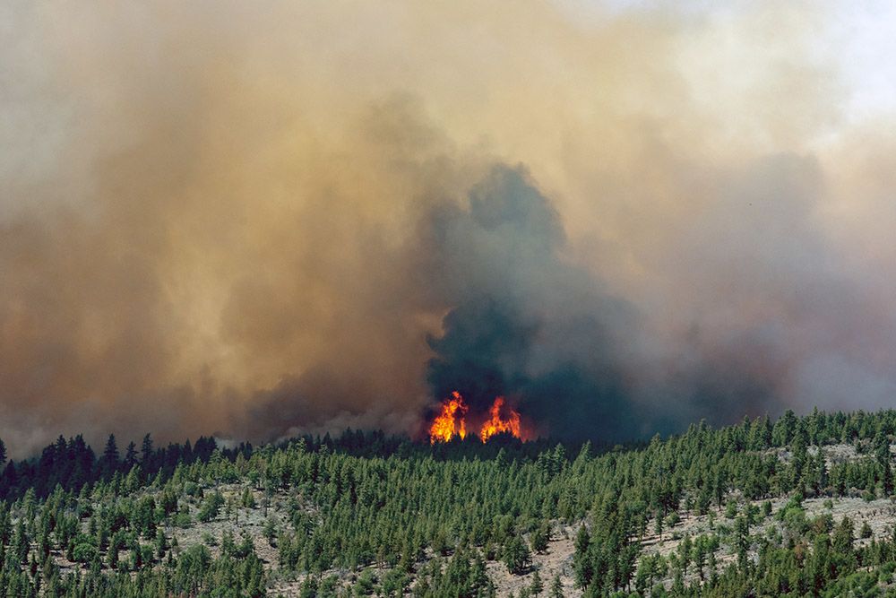 Flames burn on mountainside.
