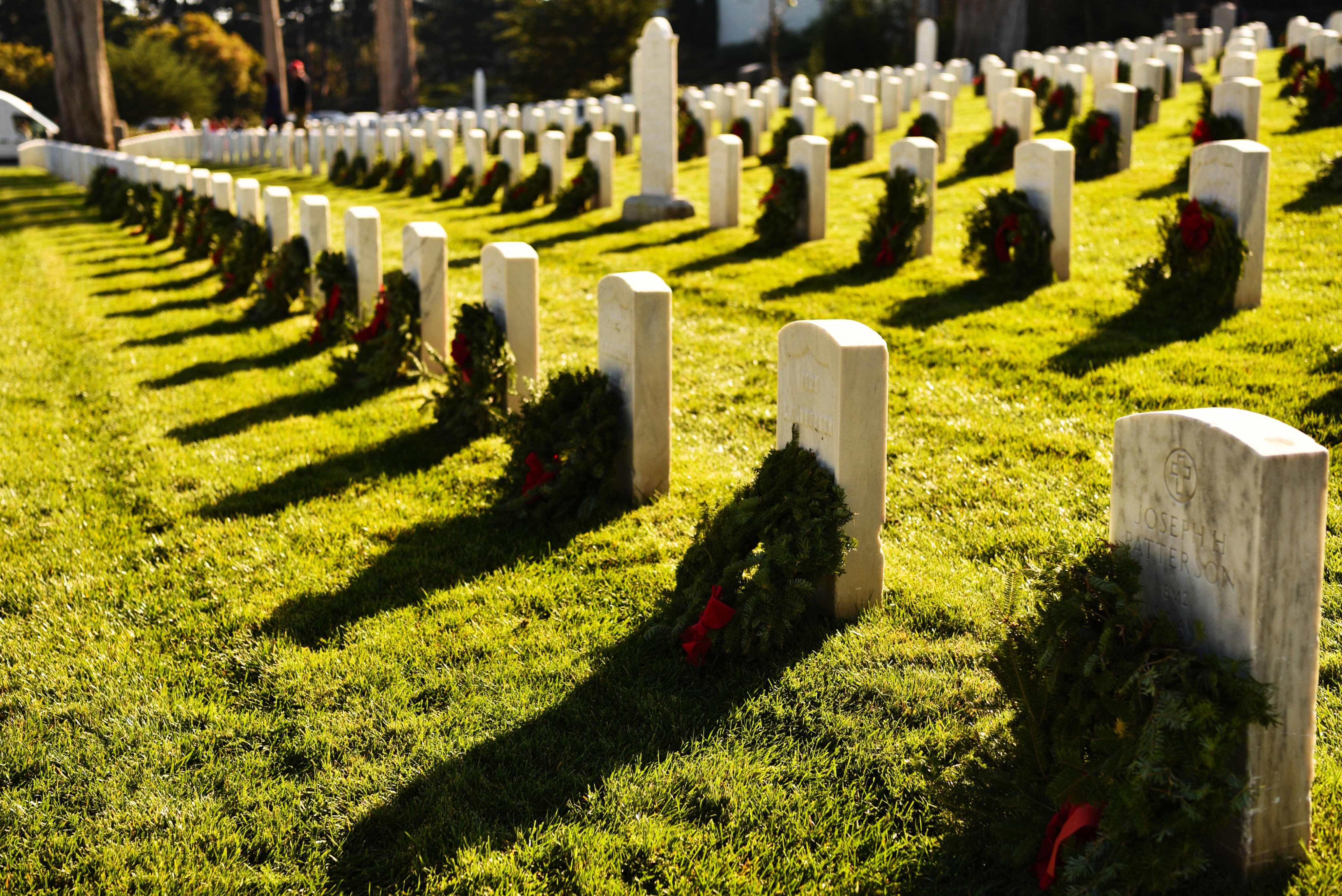 A line of graves with wreaths placed in front of them.