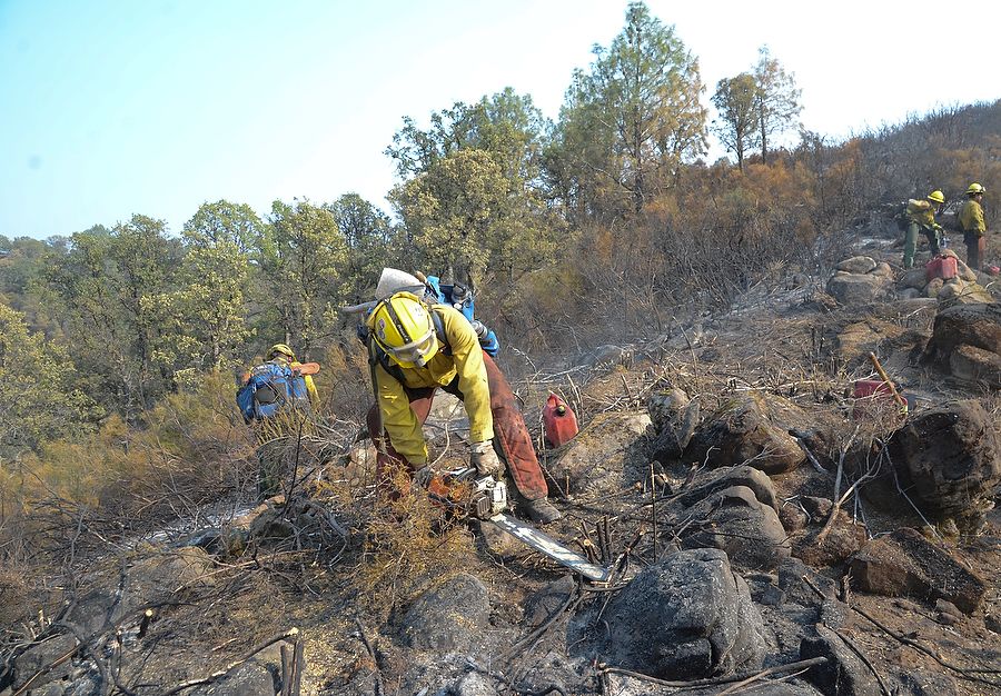 Soldier using chainsaw to cut a fire line.