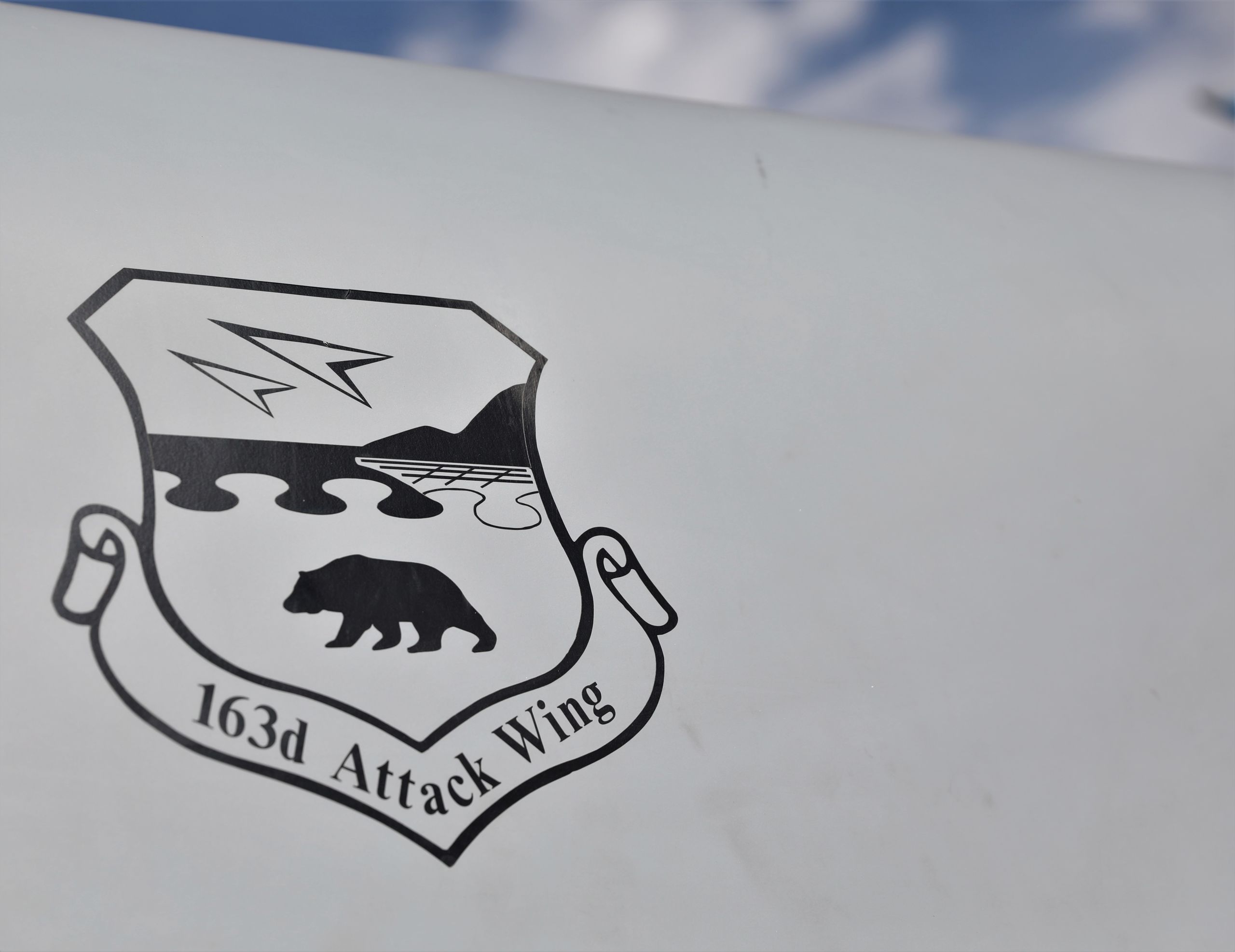 A shield shaped seal with the characters 163d Attack Wing painted on exterior of aircraft.